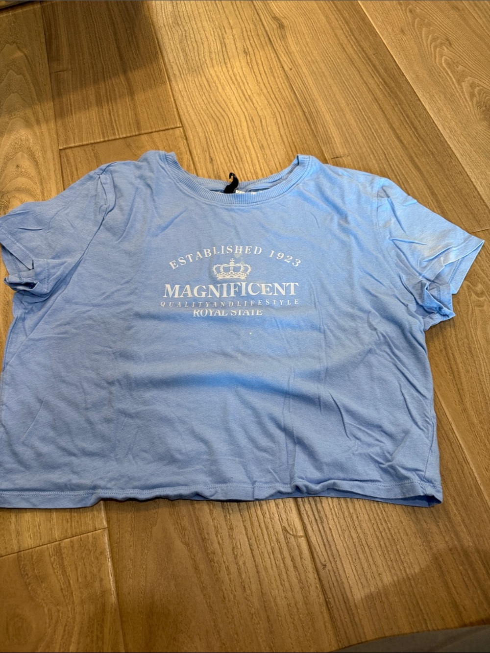 Divided Light Blue Graphic Crop Tee